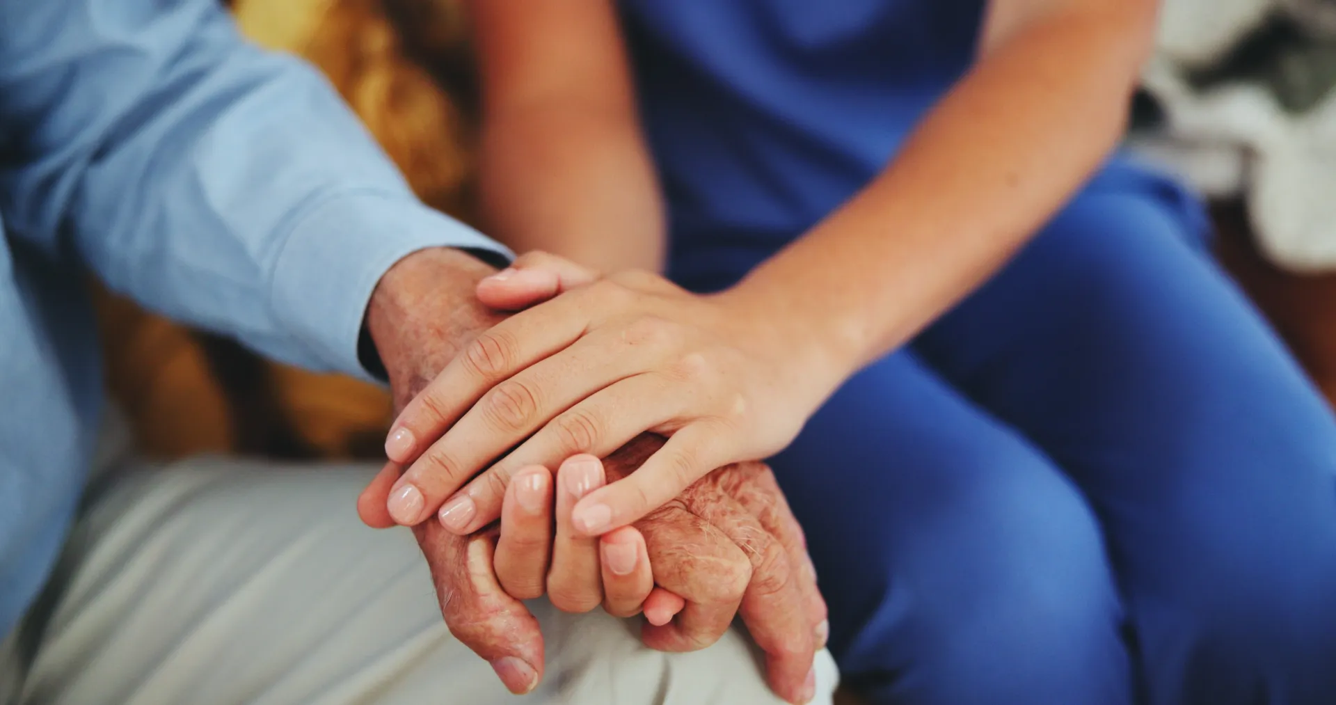 Signature Companionship Service